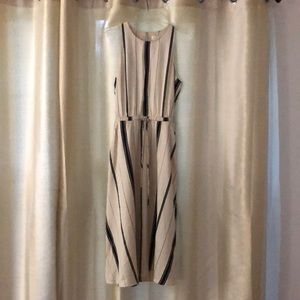 NWOT Loft dress